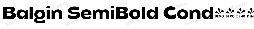 Balgin SemiBold Cond字体转换